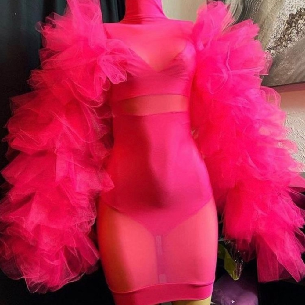 Pink Tulle sleeve dress